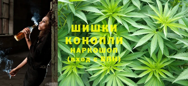 шишки Балабаново