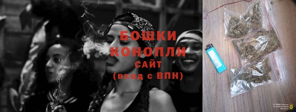 шишки Балабаново