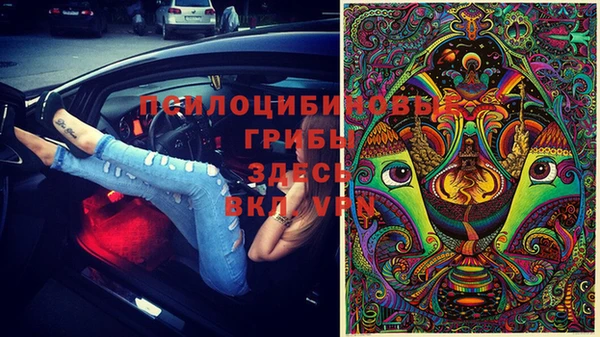 каннабис Баксан