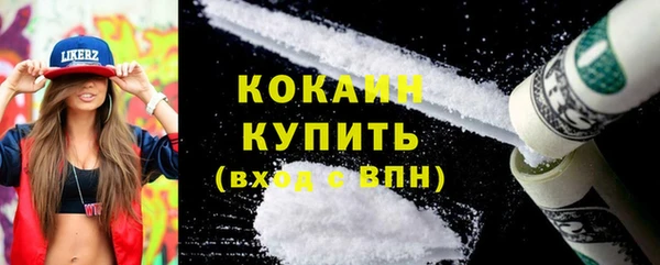 шишки Балабаново