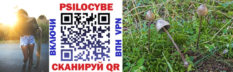 Галлюциногенные грибы Psilocybine cubensis  даркнет сайт  Верхняя Пышма 
